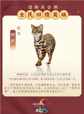 靓天龙八部私服
